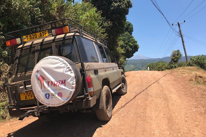 DayTour to Materuni Waterfalls with Coffee & Hotsprings Excursion - Who Should Consider This Tour?