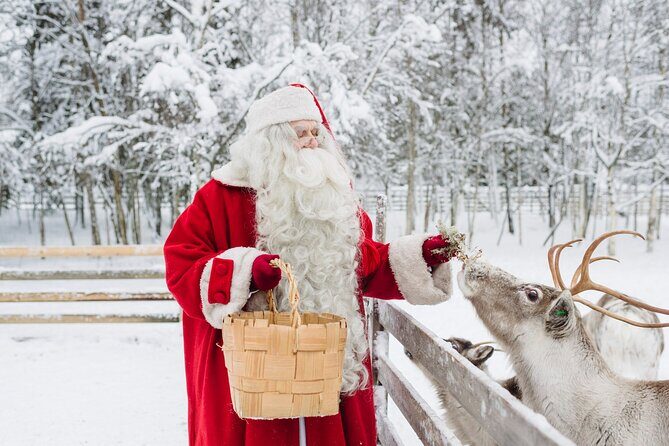 Daytour to Santa Claus Village, Reindeer and Husky Safaris, Photo, and Lunch - Reindeer and Husky Sledding Adventures