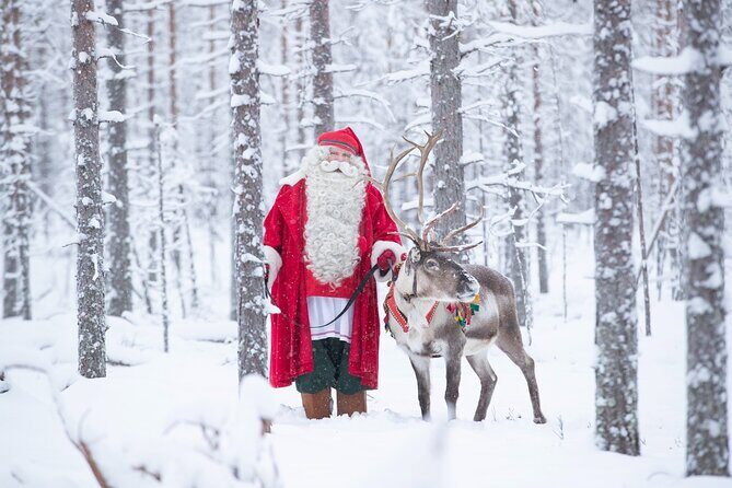 Daytour to Santa Claus Village, Reindeer and Husky Safaris, Photo, and Lunch - Practical Tips