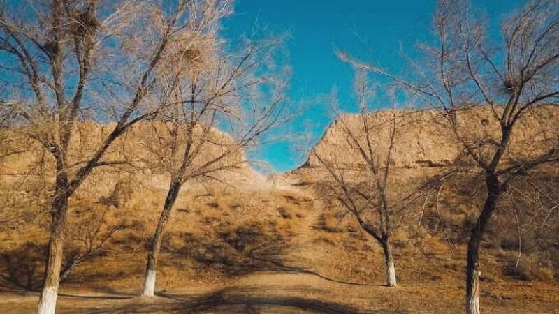 Daytrip from Khiva to Five Ancient Fortresses - Key Points  