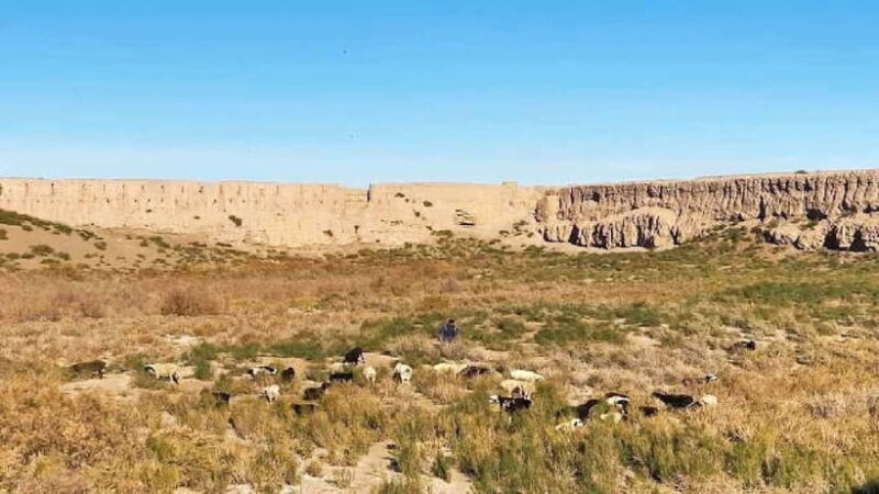 Daytrip from Khiva to Five Ancient Fortresses - Final Thoughts