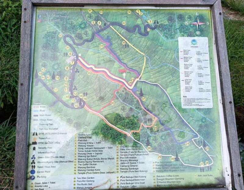 daytrip-sangeh-monkey-jati-luwih-yeh-ho-waterfalls