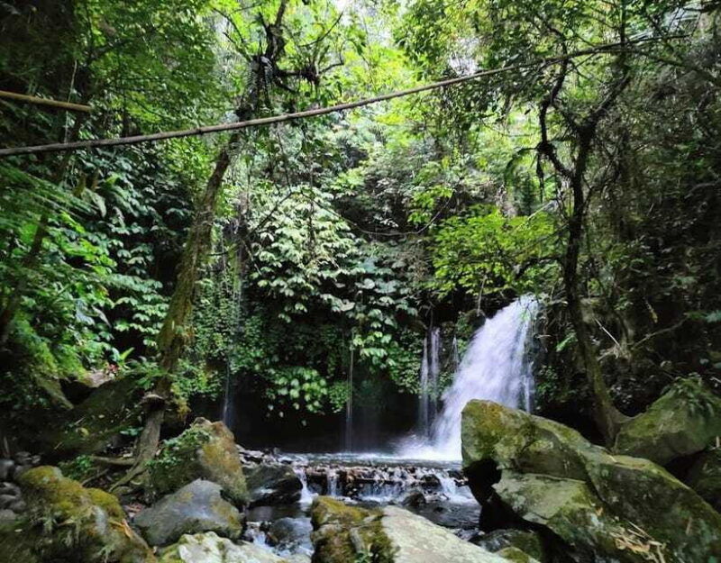 daytrip-sangeh-monkey-jati-luwih-yeh-ho-waterfalls