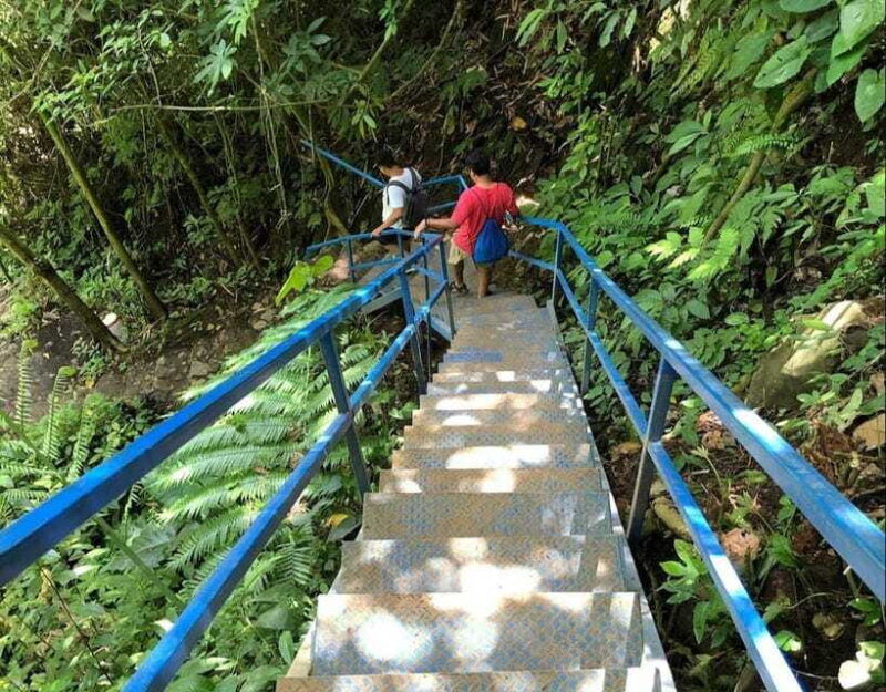 daytrip-sangeh-monkey-jati-luwih-yeh-ho-waterfalls