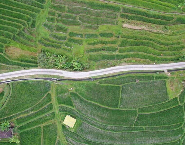 daytrip-sangeh-monkey-jati-luwih-yeh-ho-waterfalls