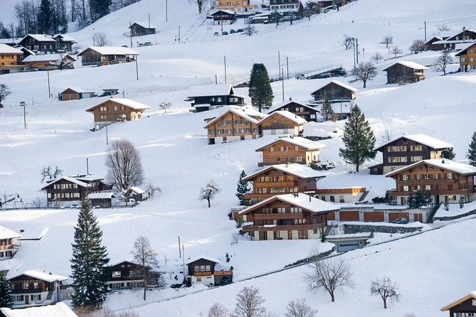 daytrip-to-jungfraujoch-top-of-europe-with-eigerexpress-gondola-ride-from-zurich-2