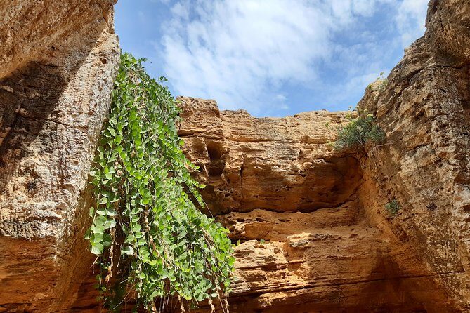 Daytrip to Kerkouen Unesco Site Kelibia and Houaria Caves - Exploring Tunisia’s Hidden Gems: Daytrip to Kerkouan, Kelibia, and Houaria Caves