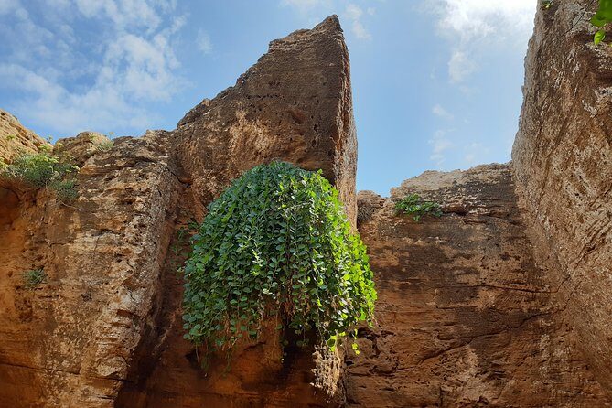 Daytrip to Kerkouen Unesco Site Kelibia and Houaria Caves - FAQ