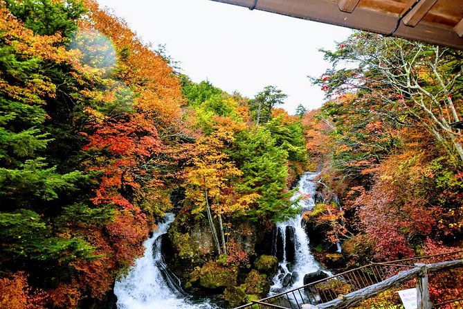 daytrip-to-nikko-from-tokyo-with-local-japanese-photograher-guide