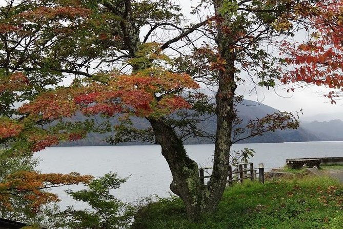 daytrip-to-nikko-from-tokyo-with-local-japanese-photograher-guide