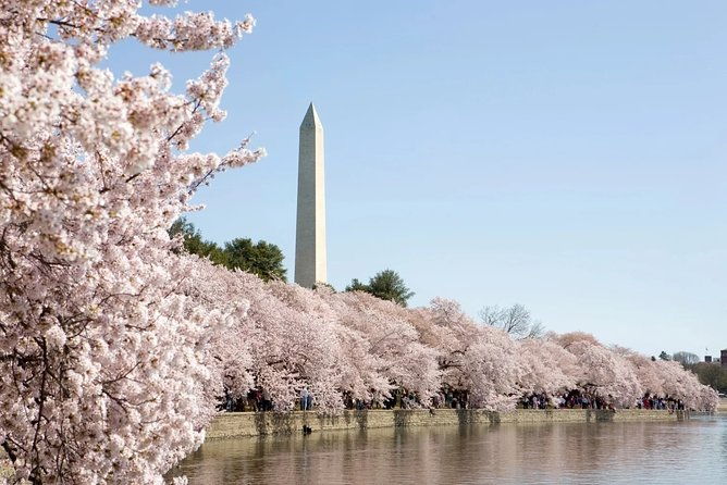 dc-presidential-inauguration-bus-tour-with-u-s-capitol-grounds-2
