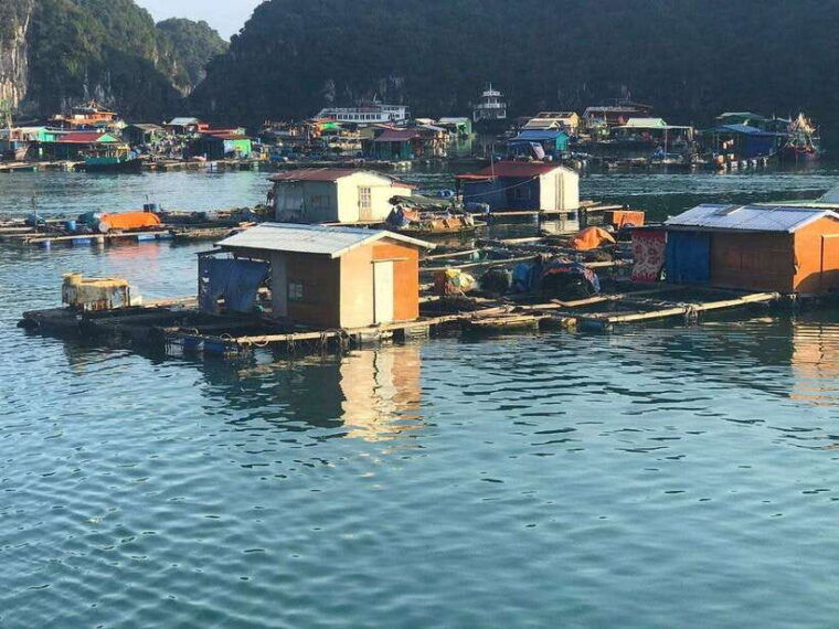 dcharme-luxury-cruise-discover-the-most-stunning-lan-ha-bay