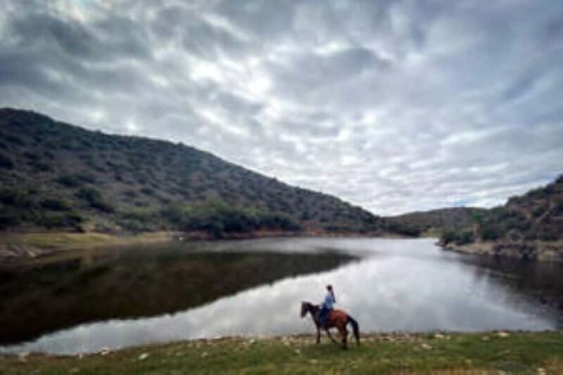 De Rust: Stompdrift Trail - Horse Riding Experience - Key Points