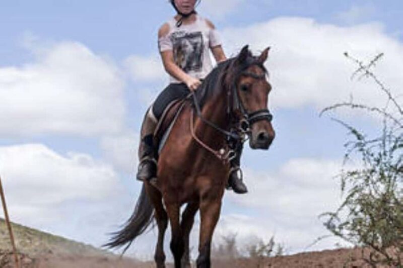 De Rust: Stompdrift Trail - Horse Riding Experience - What to Expect on the Stompdrift Trail Horse Riding Tour