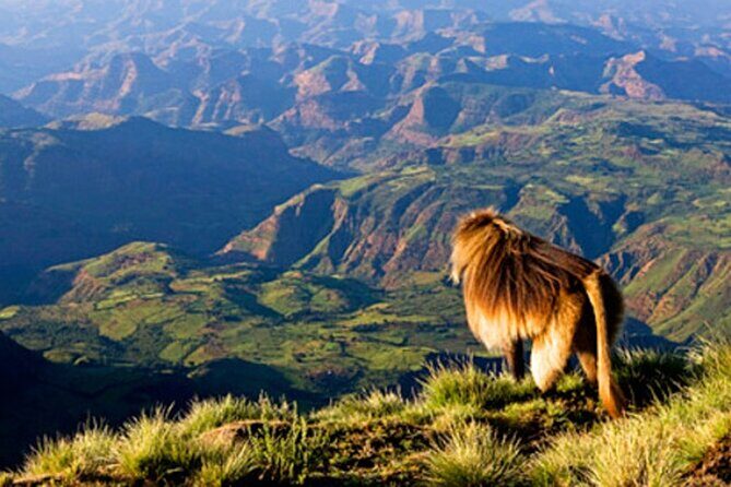Debre Libanos and Portuguese bridge - Introduction