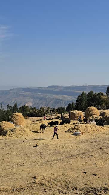 Debre Libanos Full Day Tour from Addisabeba-Religious Histor - The Sum Up: Who is This Tour Best For?