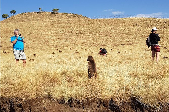 Debre Libanos Monastery and Jemma River Gorge - Day Tour from Addis Ababa - Price Analysis: How Does It Stack Up?