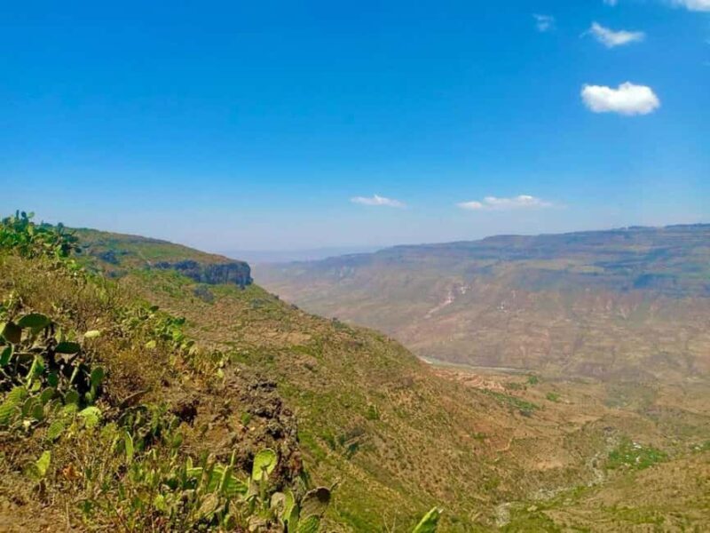DebreLibanos & Portuguese Bridge day trip from Addis Ababa - Key Points: