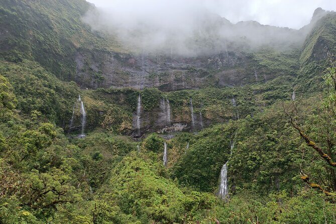 Découvrez le Mana durant la traversée de Tahiti en 4x4 Safari - The Sum Up