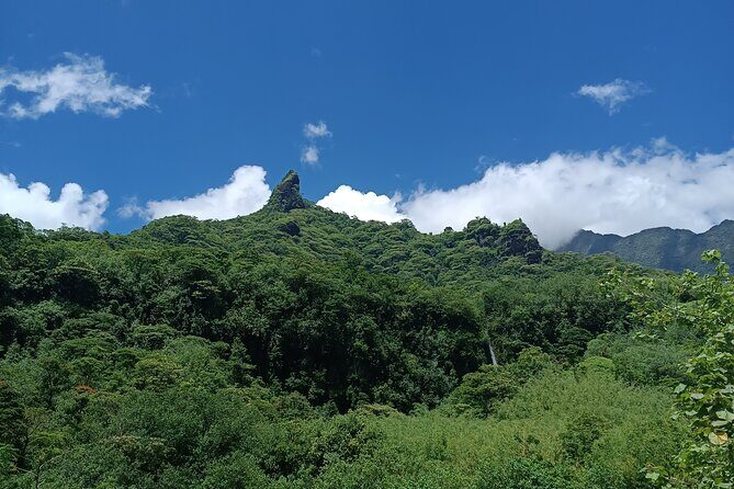 Découvrez le Mana durant la traversée de Tahiti en 4x4 Safari - FAQs