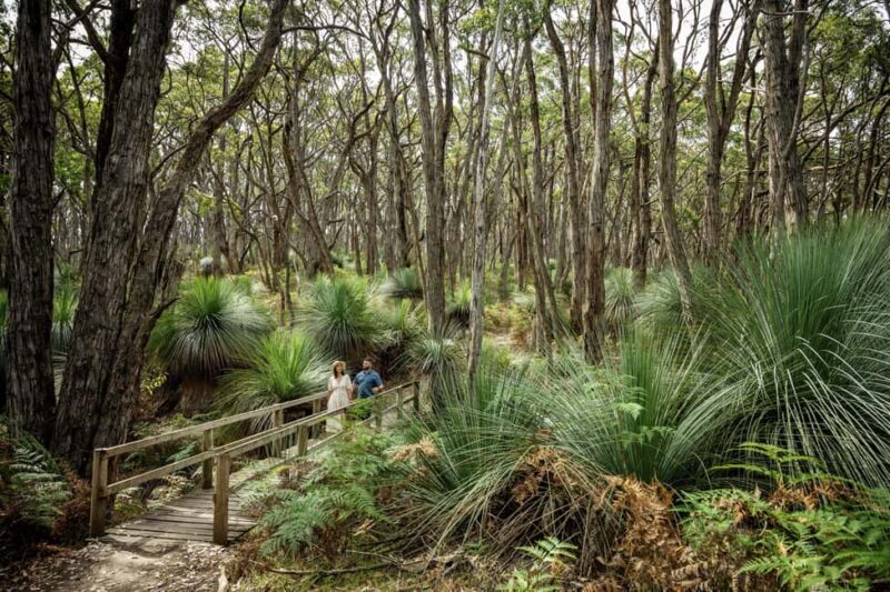 Deep Creek National Park: 4WD Adventure and Native Food Tour - Exploring the Deep Creek National Park Tour