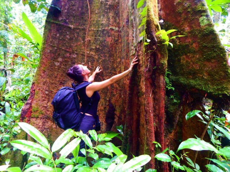deep-jungle-experience-plan-4-days