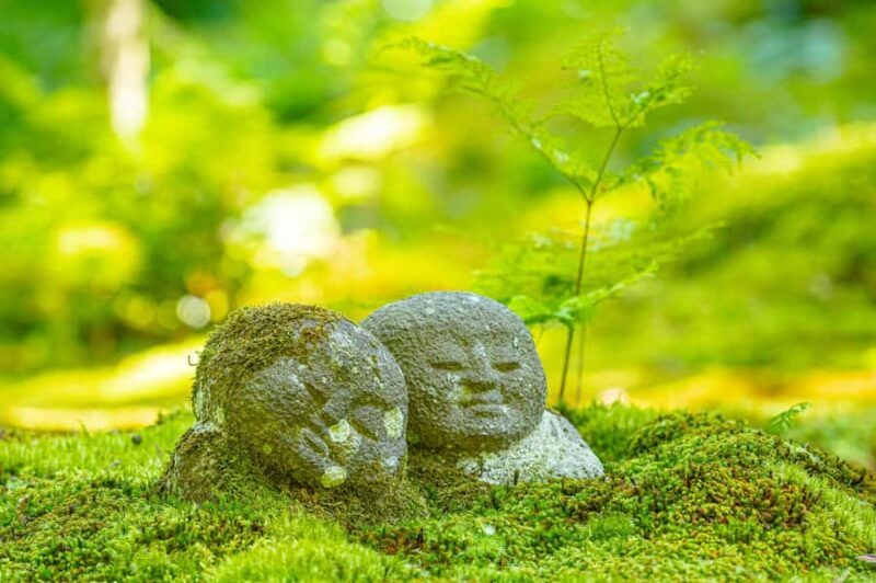 Deep Kyoto: Local Cuisine, Tranquil Temples on Premium Bus - FAQs