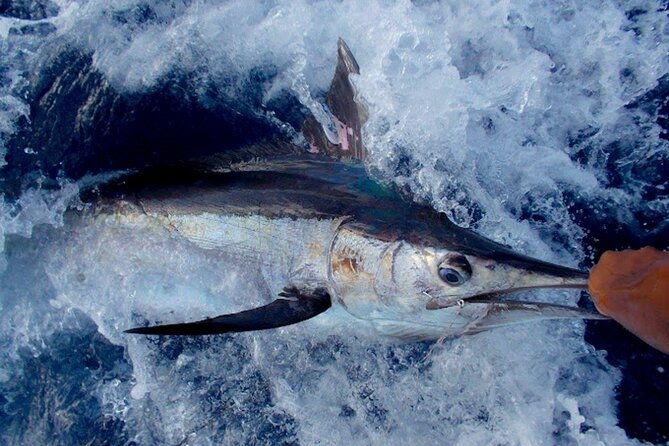 deep-sea-fishing-canadian-owned-operated