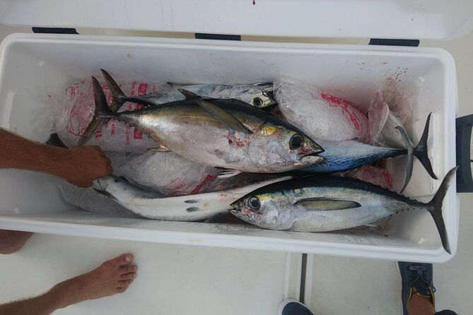 deep-sea-fishing-half-day