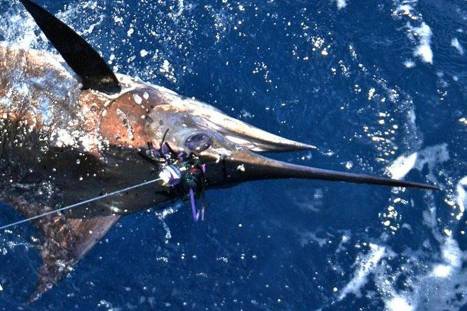 deep-sea-fishing-private-boat-charter-in-san-juan