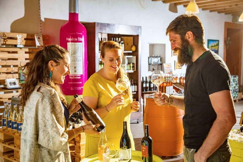 Dégustation Terroir : Journey to the heart of Domaine Castan's flavours - Why You’ll Love This Experience