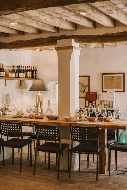 Degustazione di vini alla Cantina Montevecchio Isolani - A Detailed Look at the Tour Experience