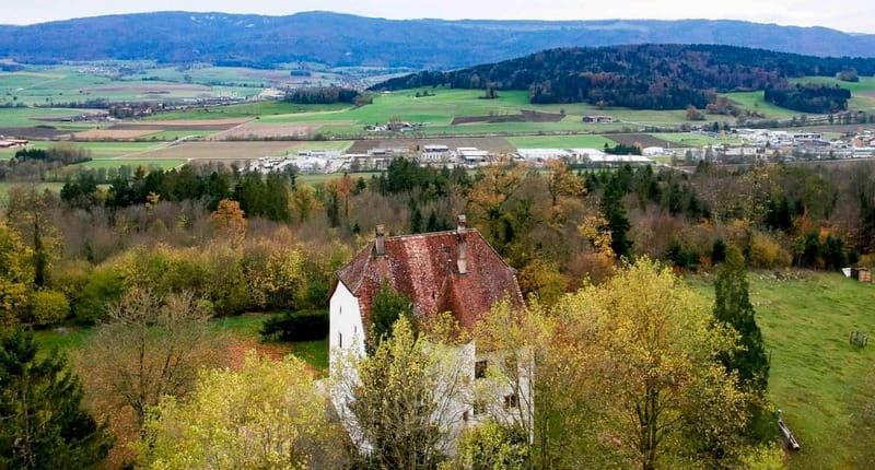 Delémont: Private Guided City Walking Tour - Key Points