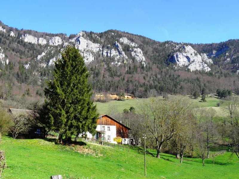 Delémont: Private Guided City Walking Tour - The Practicalities