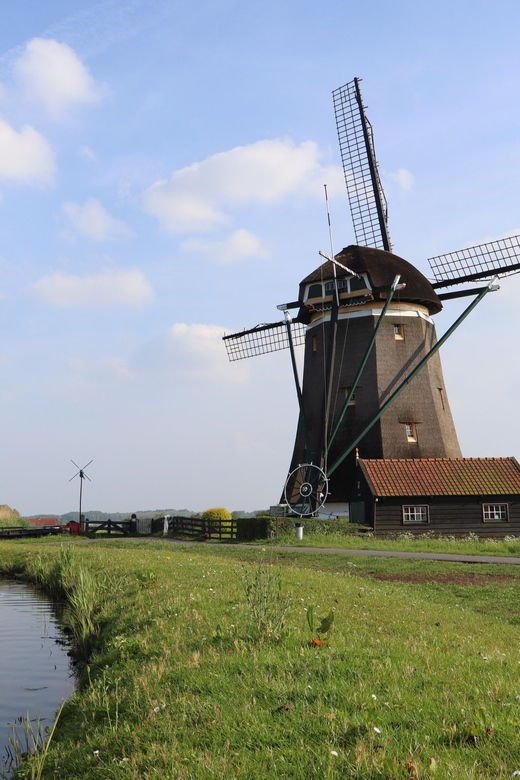 delft-and-volendam-cheese-clogs-windmills-small-group