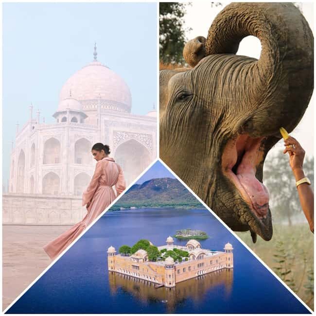 Delhi: 2Day Agra & Jaipur Tour with Elephant SOS and 5*Hotel - Day 2: Exploring Jaipur’s Royal Heritage