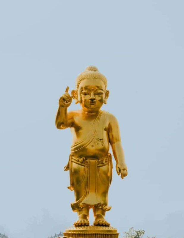 Delhi: 7-Days on the Buddhist Enlightenment Path - Key Points