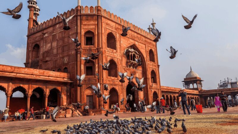 Delhi City Tour: Old, New, or Both Half & Full Day Options - What to Expect from the Tour