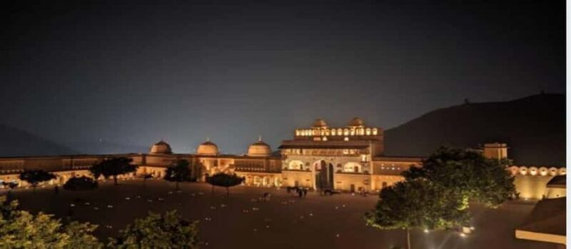 Delhi: Day Tour Jaipur Amber Fort With City Palace Transfer - Who Should Consider This Tour?