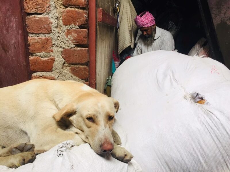Delhi: Ethical Sanjay Colony Slum Tour - FAQs