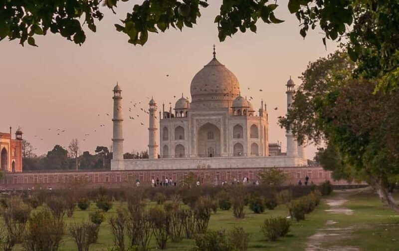 Delhi: full day Taj Mahal, Agra tour with 5*lunch & transfer - A Deep Dive into the Tour Experience