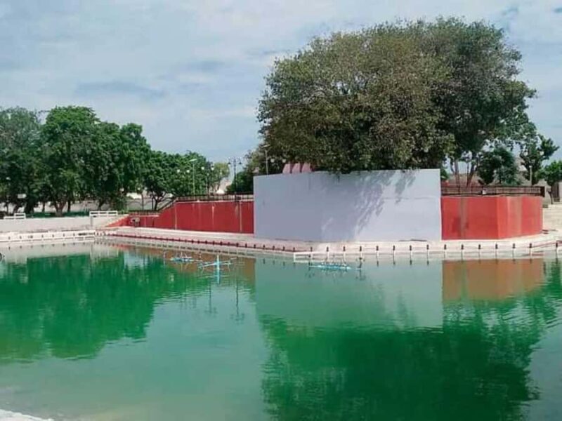 Delhi: Guided Shopping Tour Experience Local Expert Guide - Key Points