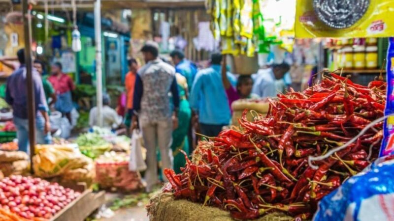 Delhi: Half day Shopping tour with guide by car. - Authenticity and Experience