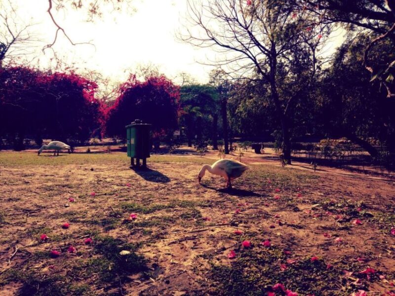 Delhi: Heritage Photography Tour - The Sum Up