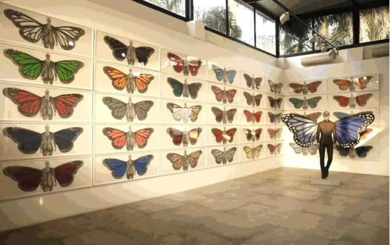 Delhi: Hidden Art Gallery Tour - Exploring Delhi’s Hidden Art Scene