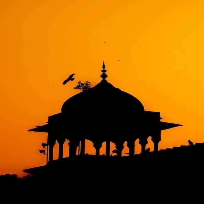 Delhi: Jama Masjid & Old Delhi Heritage Walking Tour - The Value of the Experience