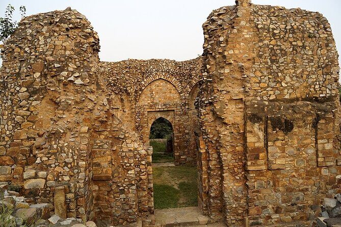 Delhi Mehrauli Archaeological Park Walking Tour with Guide - Final Thoughts: Is This Tour Worth It?