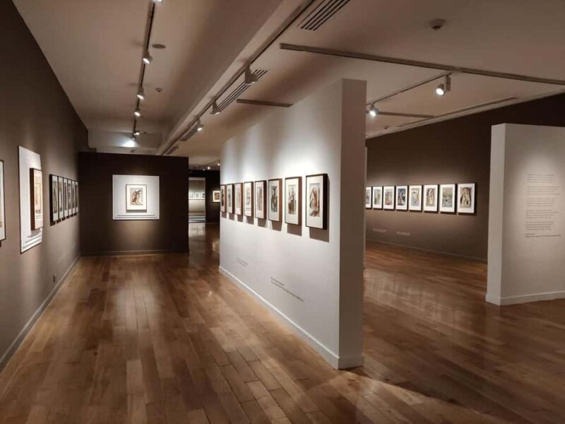 Delhi: Museums Tour with Curator-Led Session & Pickup - What We Love About This Tour