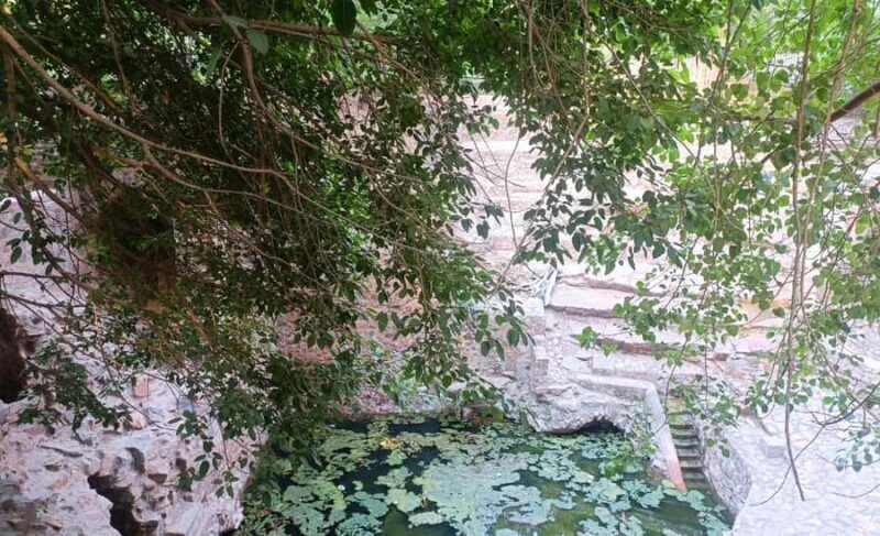 Delhi: Northern Ridge Walk with Tibetan Colony Tour - Local Temples and Cultural Insights