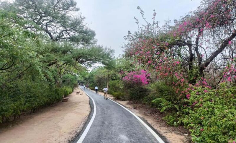 Delhi: Northern Ridge Walk with Tibetan Colony Tour - The Sum Up